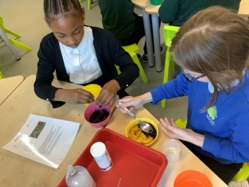 science-olga-primary-school