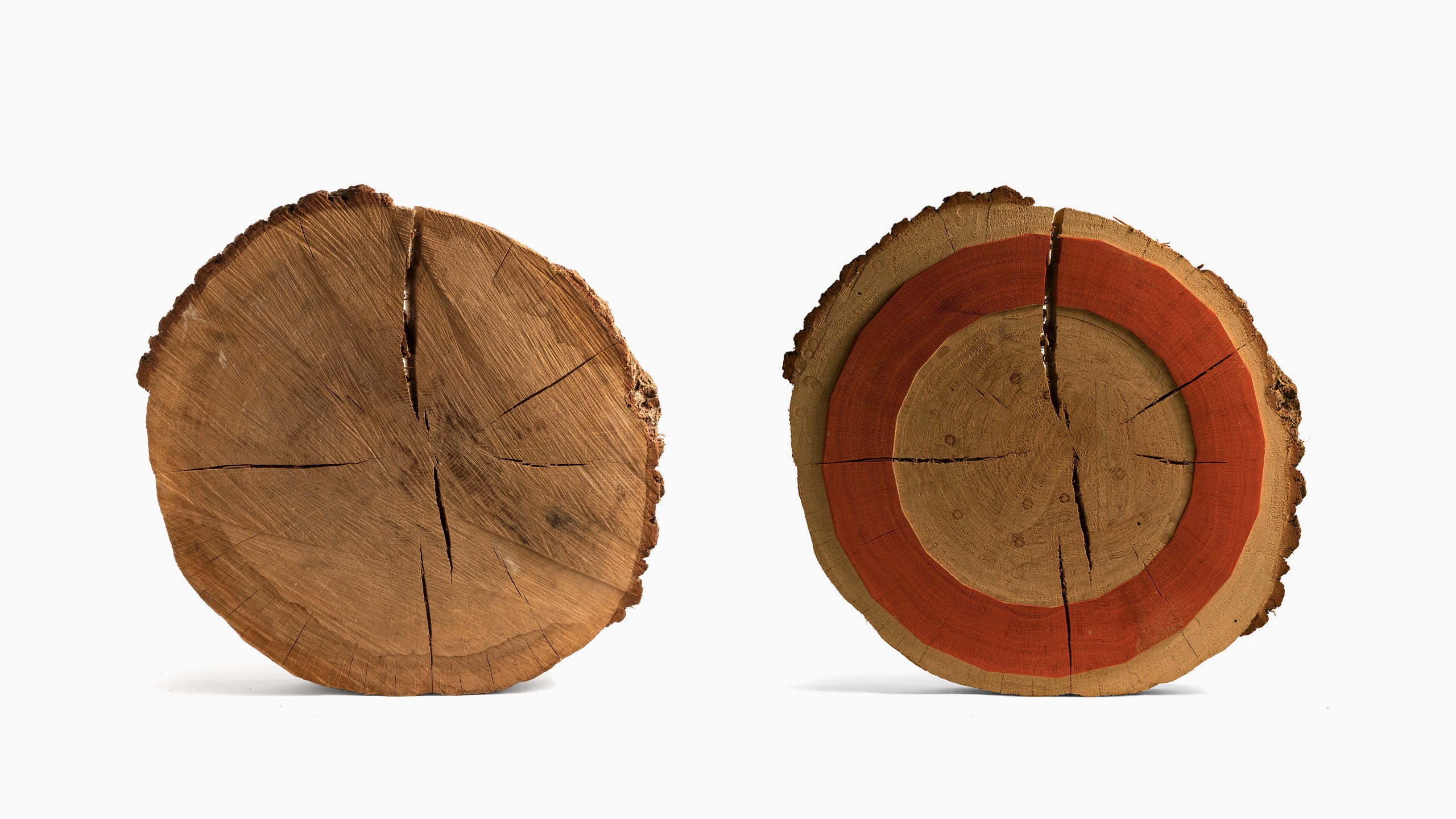 logocutting Two pieces of wood engraved with Shakespeare's Globe logo, one is painted red