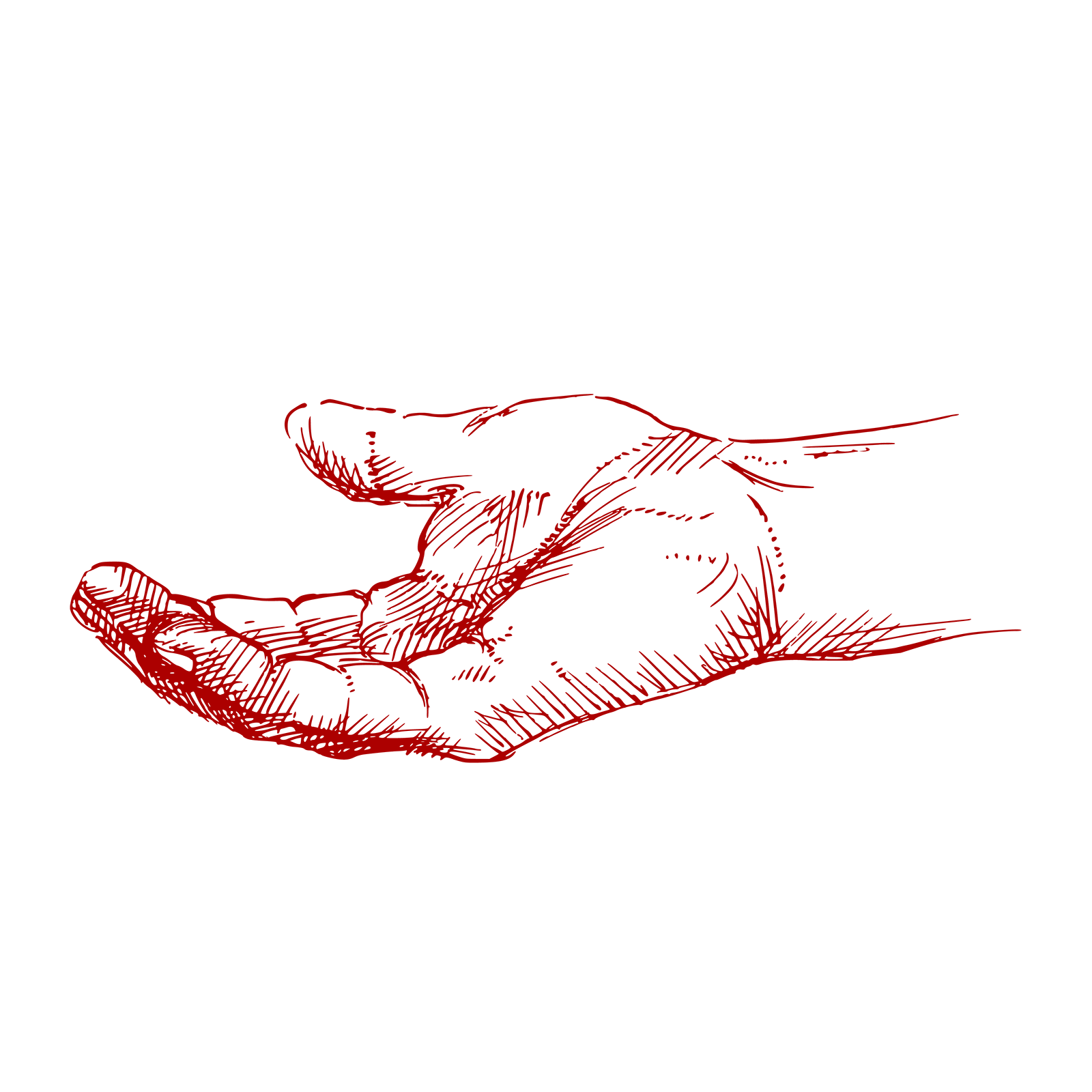 PSwDB Macbeth 2020 icon hand