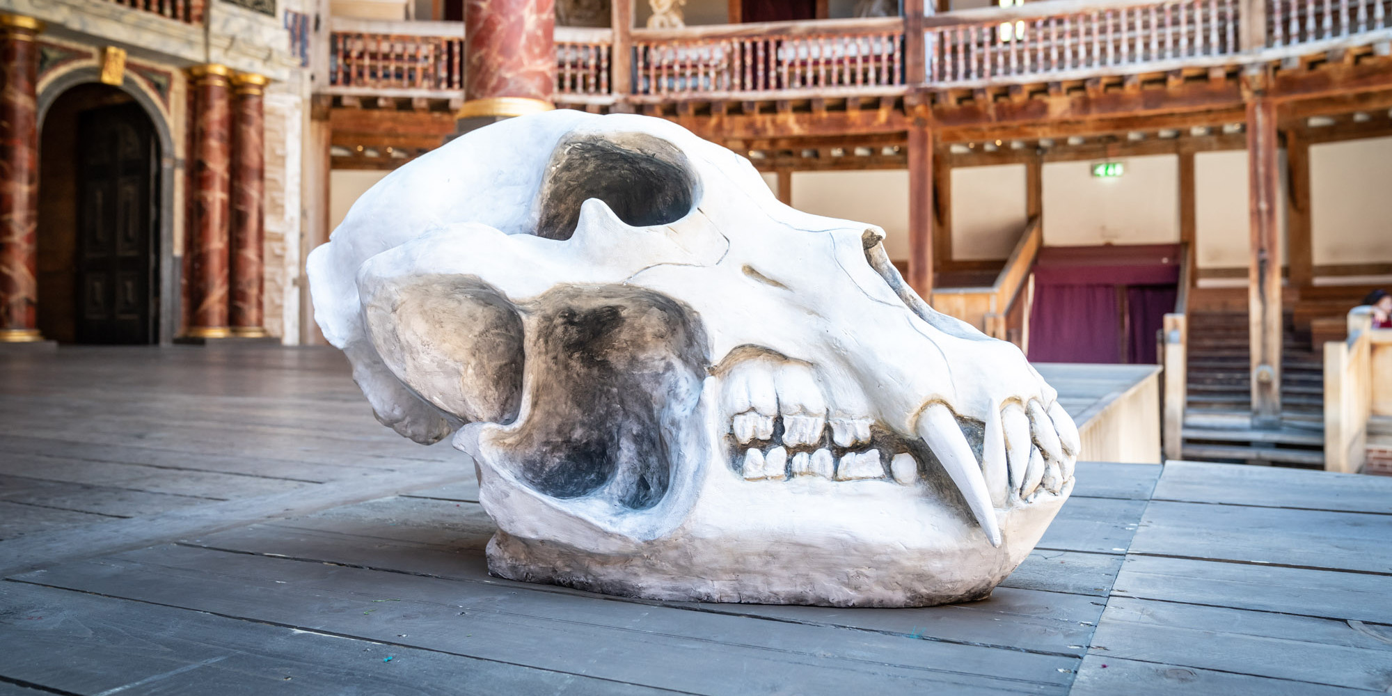 Bear Skull The Winters Tale GLOBE 2018 An immense bear skull prop sits on the Globe Theatre stage.