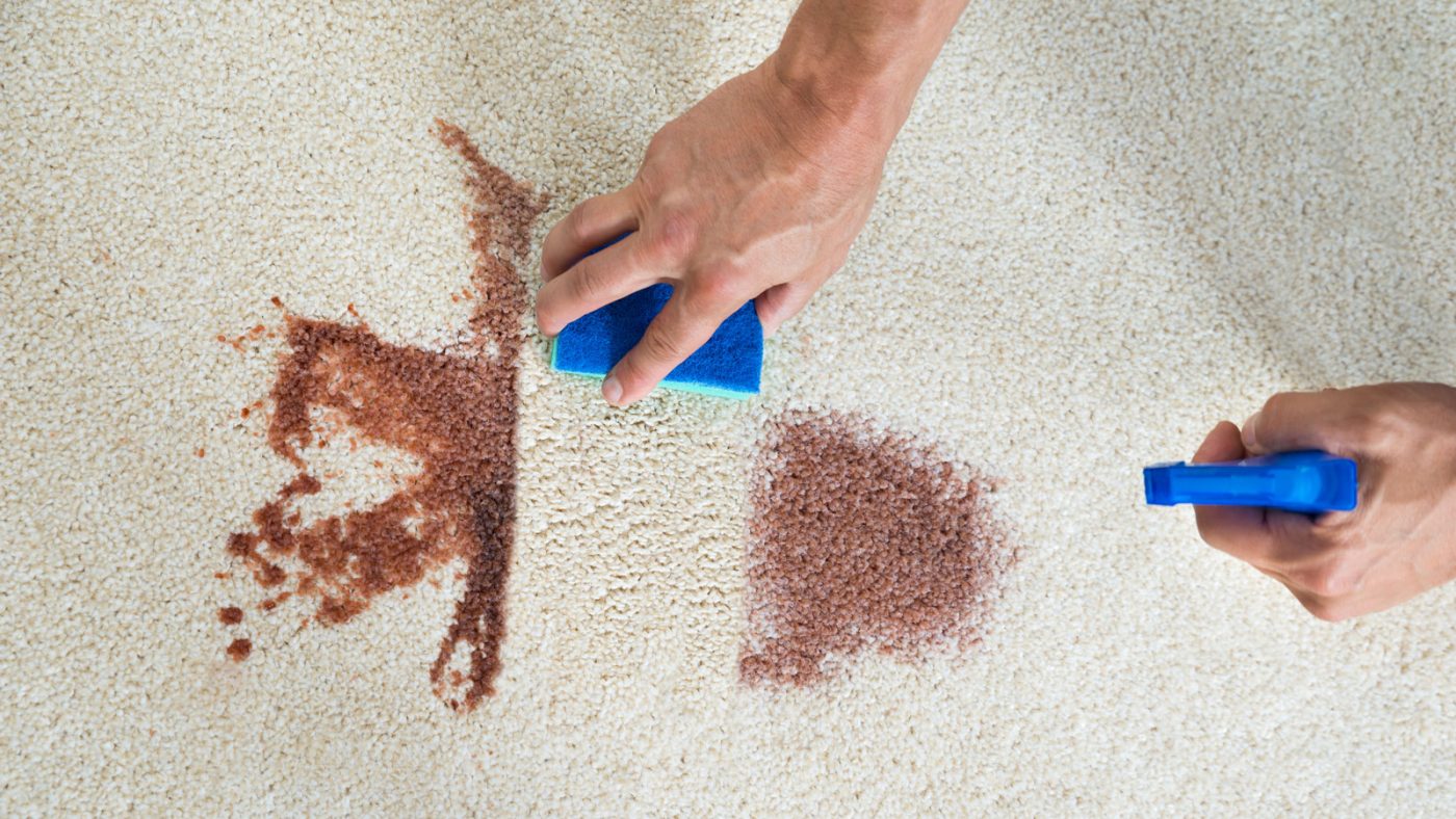 Is There a Way to Clean a Carpet Without a Machine? Shark