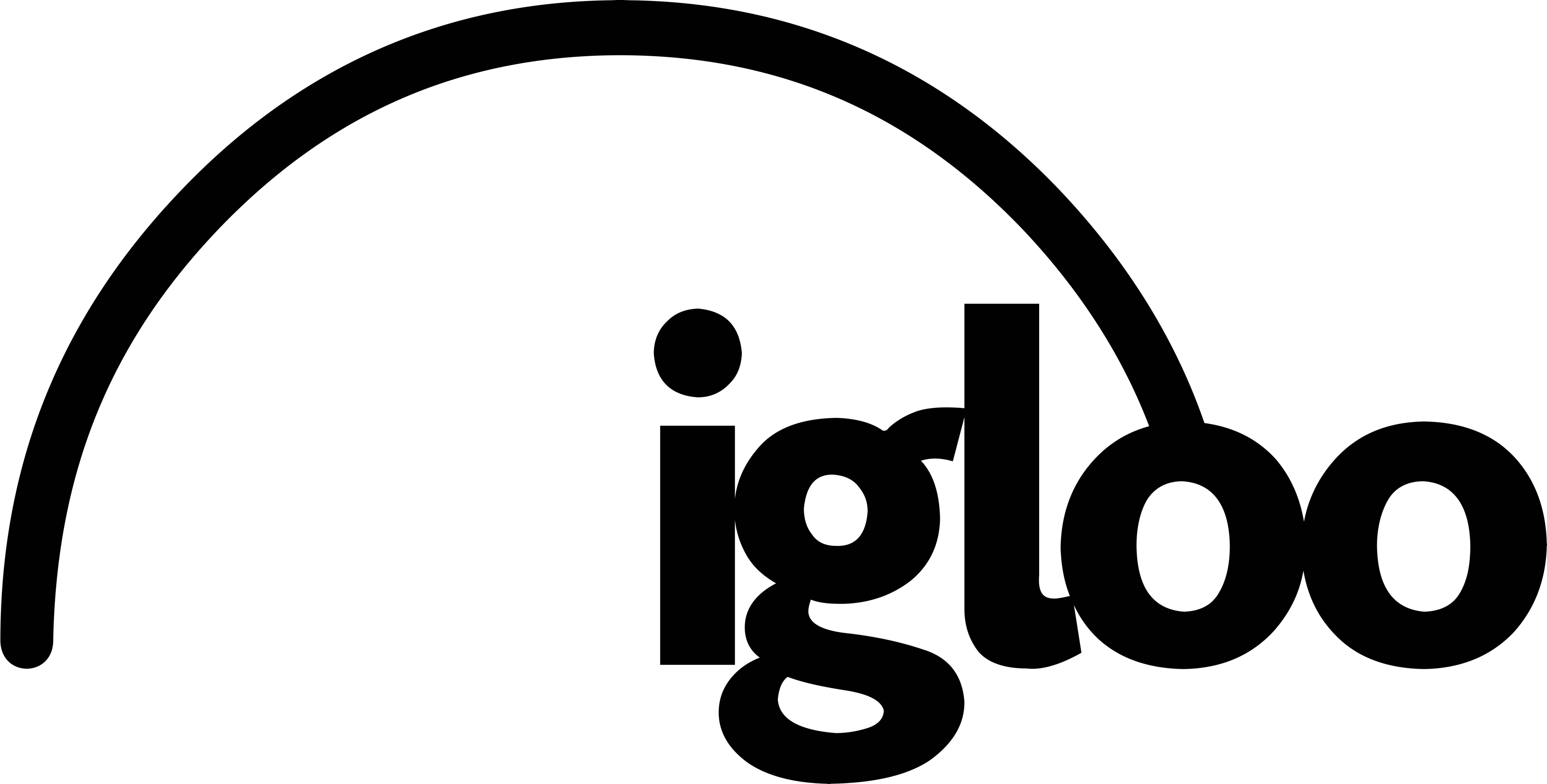 Igloo Description