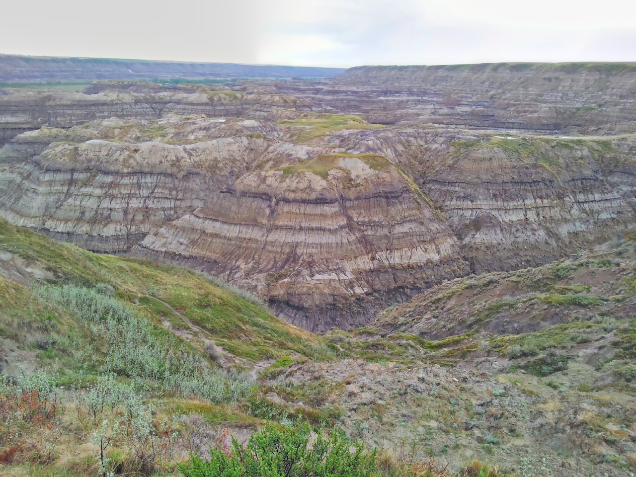 Horse thiefs canyon
