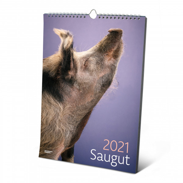 Kalender 2021 Saugut Kalender 2021 Saugut