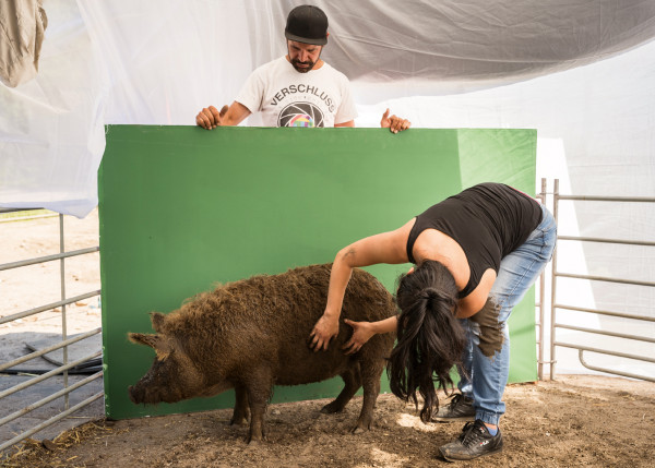 Saugut und widerborstig Saugut und widerborstig