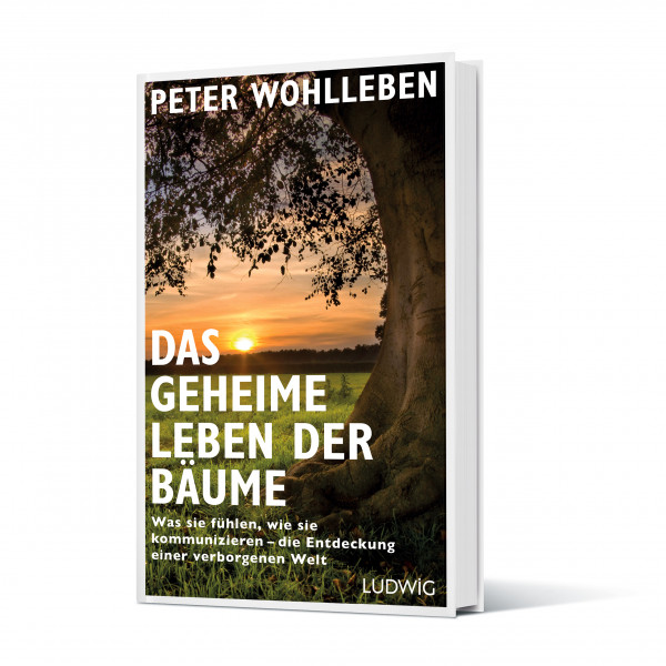 Das geheime Leben der Bäume Das geheime Leben der Bäume