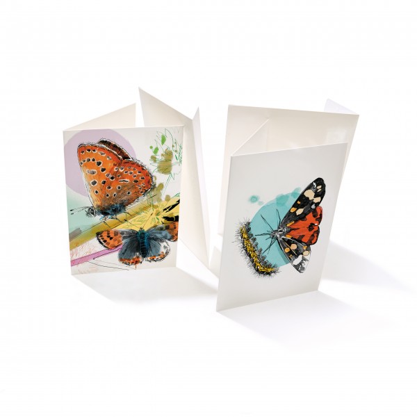 Klappkarten-Set "Magische Insektenwelt" Klappkarten-Set "Magische Insektenwelt"