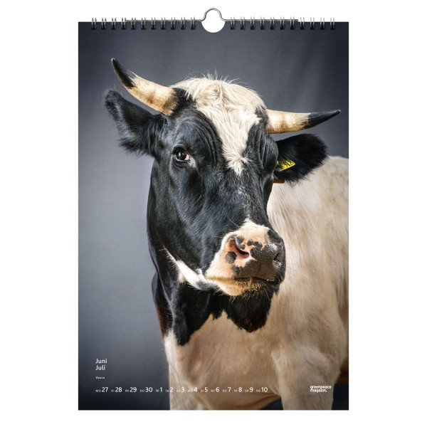 Kalender 2022 "Stolze Rinder" Kalender 2022 "Stolze Rinder"