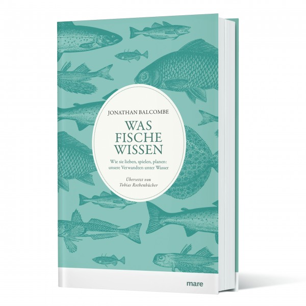 Was Fische wissen Was Fische wissen