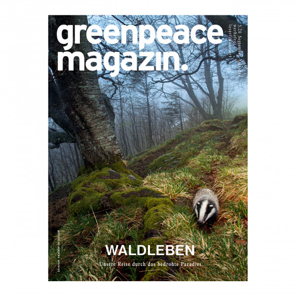 5.20 Waldleben 5.20 Waldleben
