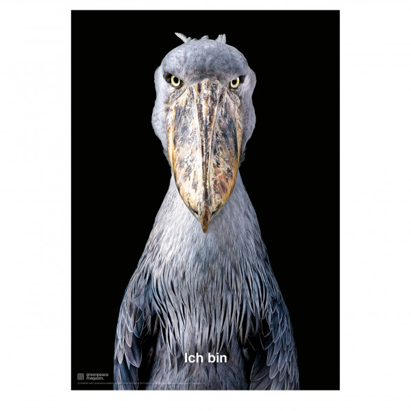 Titelposter "Tierrechte" Titelposter "Tierrechte"