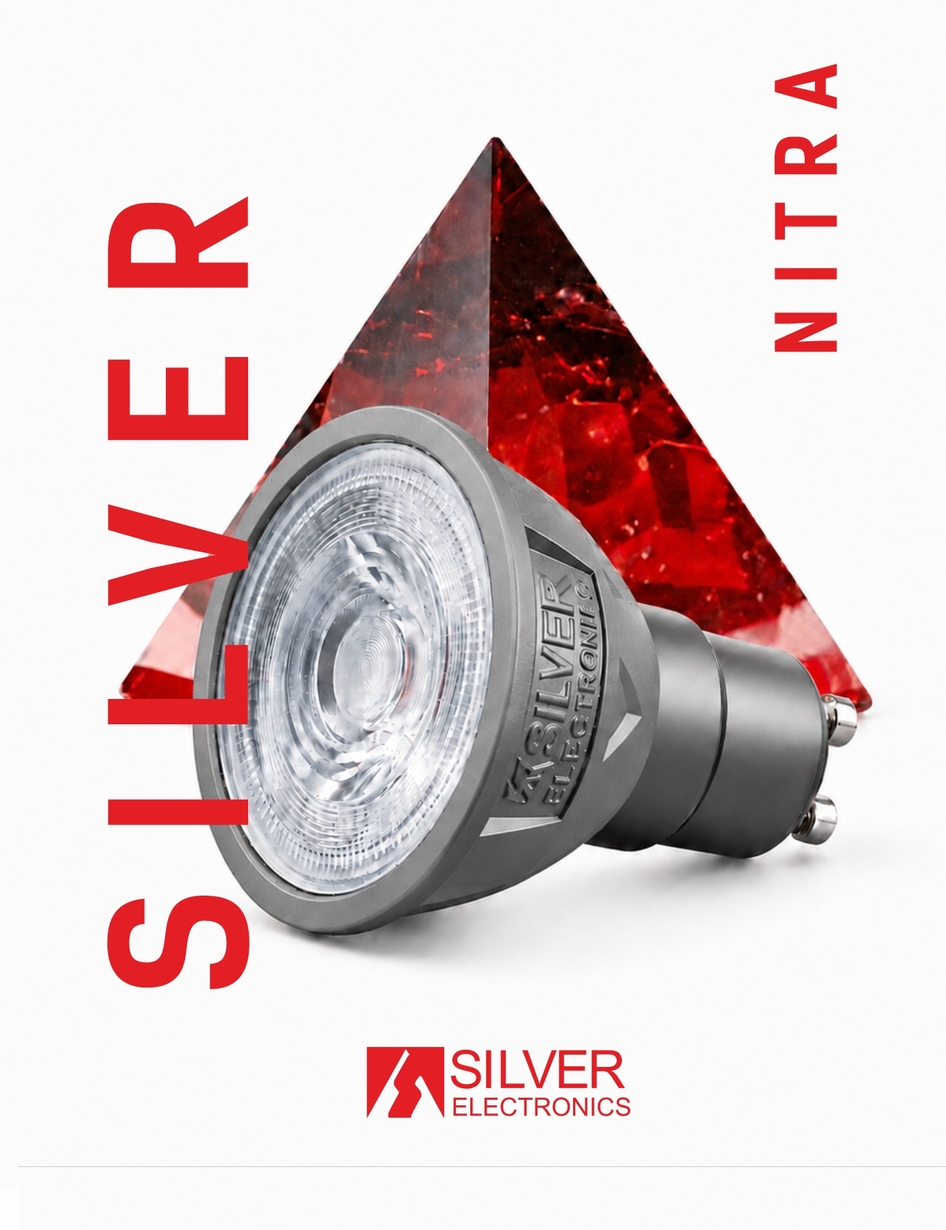 Catalogues | Silver Sanz