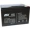 DSK Batería Plomo AGM Sellada VRLA 12V 12Ah | Silver Sanz