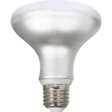 Silver Electronics Reflector LED Bulb R90 12W E27 5000K