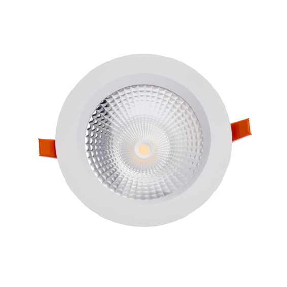 PLEX DOWNLIGHT Dimmable 25W 4000K White | Silver Sanz