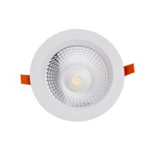PLEX DOWNLIGHT Dimmable 25W 4000K Blanc | Silver Sanz