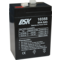 DSK Batterie Plomb Scellé AGM VRLA 6V 4,5Ah | Silver Sanz