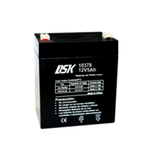 DSK Lead Acid Lead Battery F2 12V 5Ah