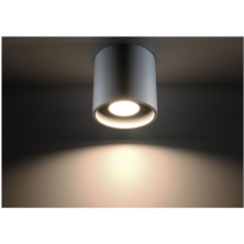Gray cylinder ceiling lamp | Silver Sanz