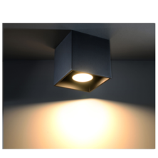 Black cube type ceiling lamp | Silver Sanz