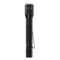 Linterna LED Aluminium Light F20 Pro 250lm 2 AA incluidas | Silver Sanz
