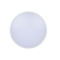 HYDRA round LED surface-mounted ceiling light Ø340mm 24W 2400lm CCT 3K-4K-6.5K + white frame | Silver Sanz