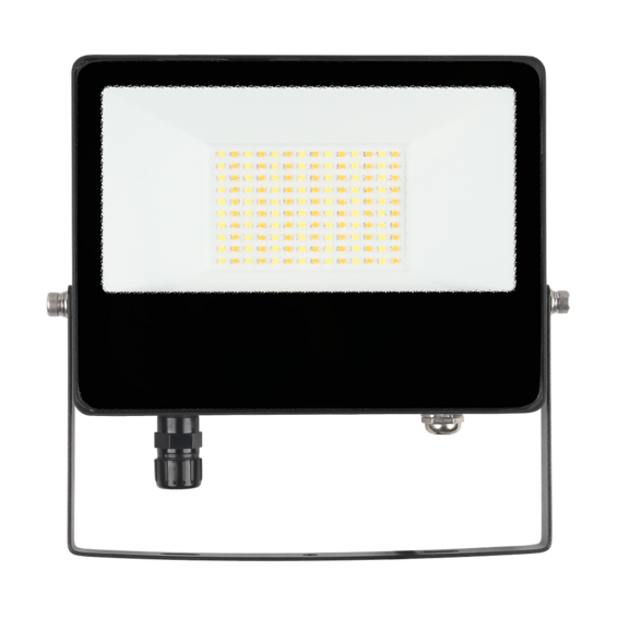 Projecteur FORGE MULTIPLEX noir (capteur de mouvement en option) 6750lm 50W 3CCT+2 watts IP65 110º 30 000h | Silver Sanz
