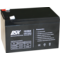 DSK Batería Plomo Gel Sellada VRLA 12V 12Ah  | Silver Sanz