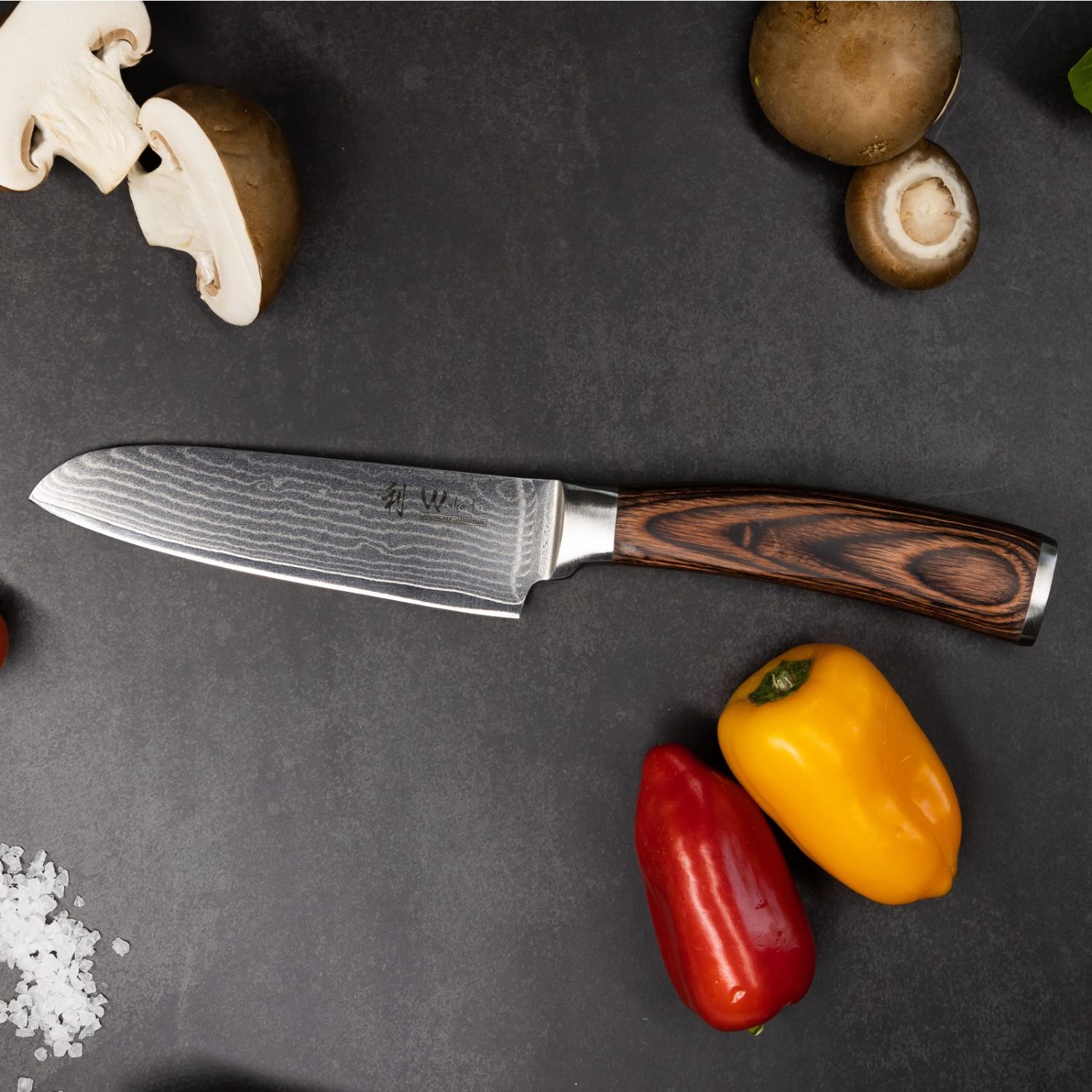 OLEIO GmbH, Weidegrund in Buxtehude