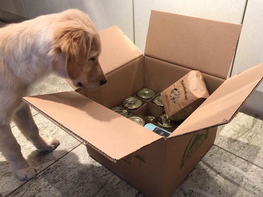 Reico Vertriebspartner Liebe Füttern, Tulpenstr. in Sittenbach