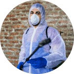 Kammerjäger Weber, Nederhoffstraße 6 in Dortmund