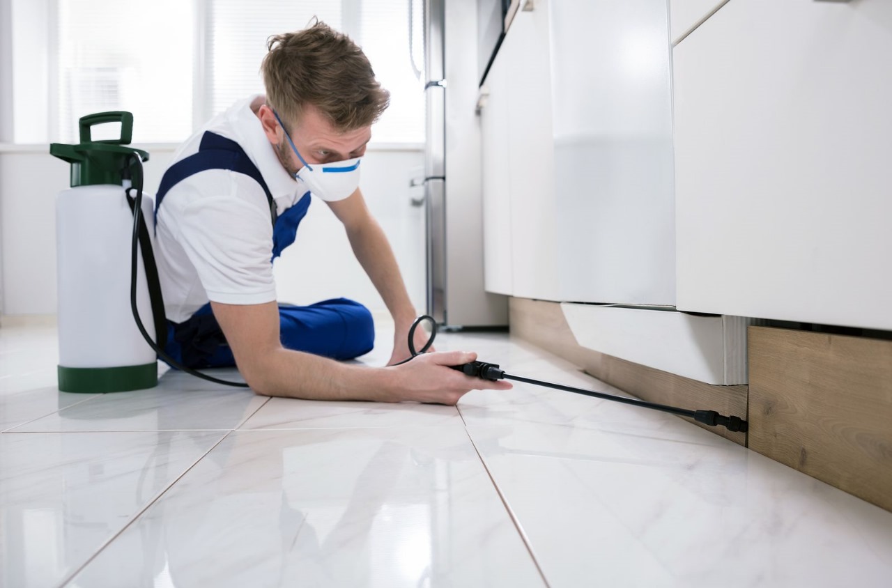 Kammerjäger Weber, Nederhoffstraße 6 in Dortmund