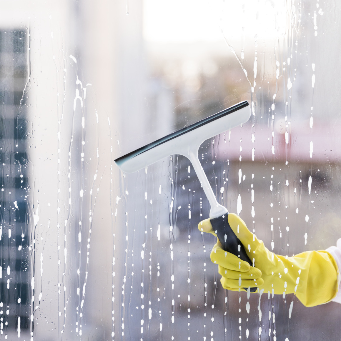 staubfeder, Am Heck in Lübeck