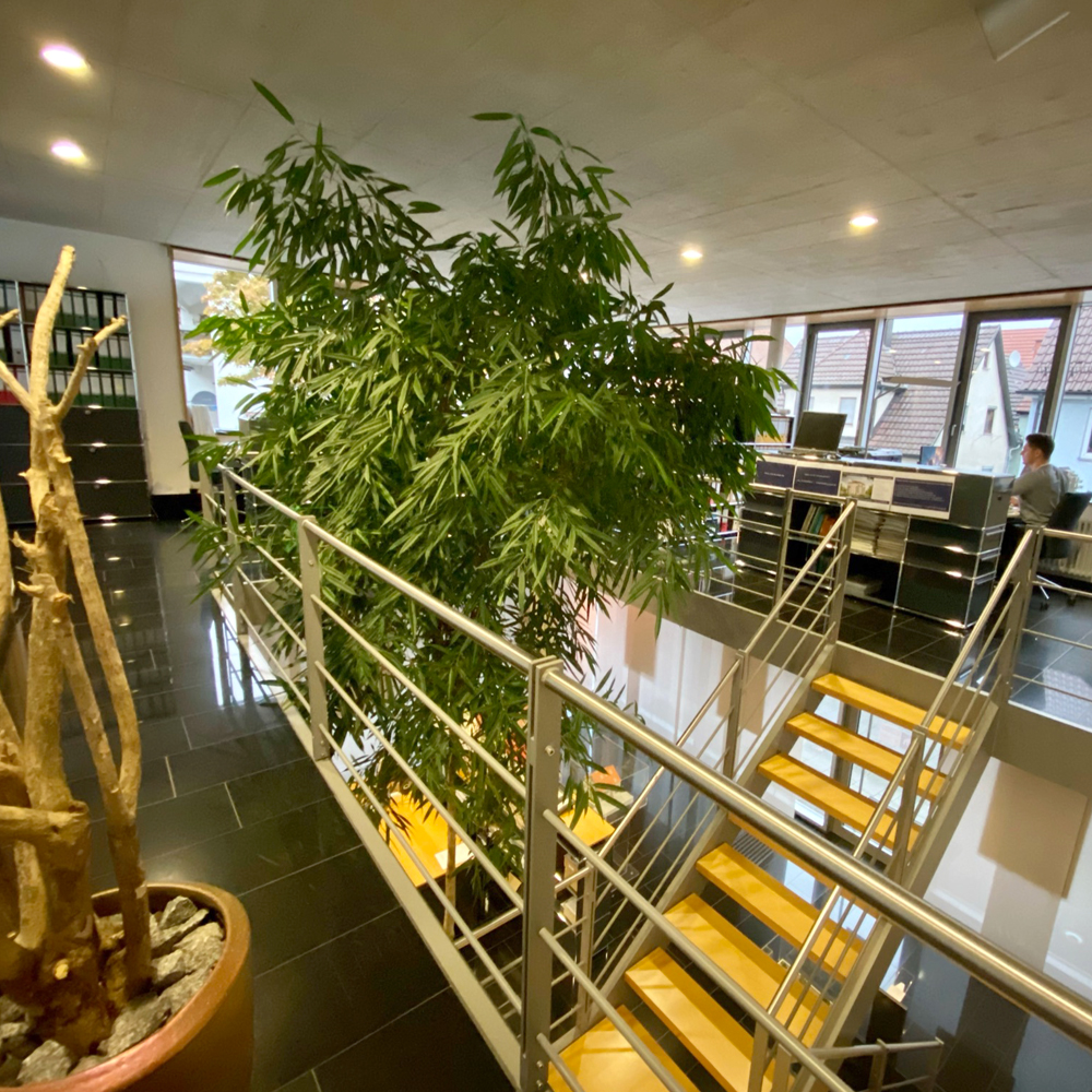 Citybau Wohnbaugesellschaft mbH, Olgastraße in Deizisau