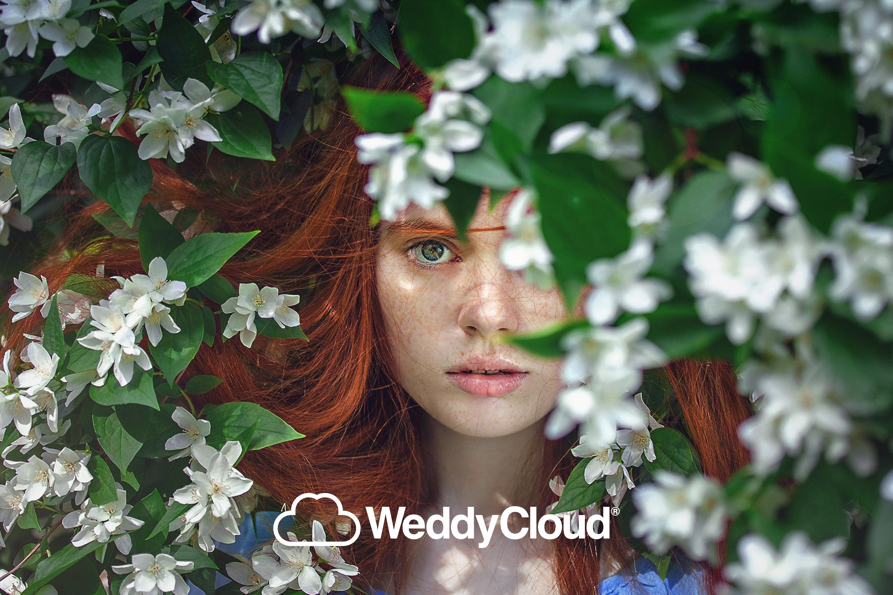 WeddyCloud, Am Steinhof in Paderborn