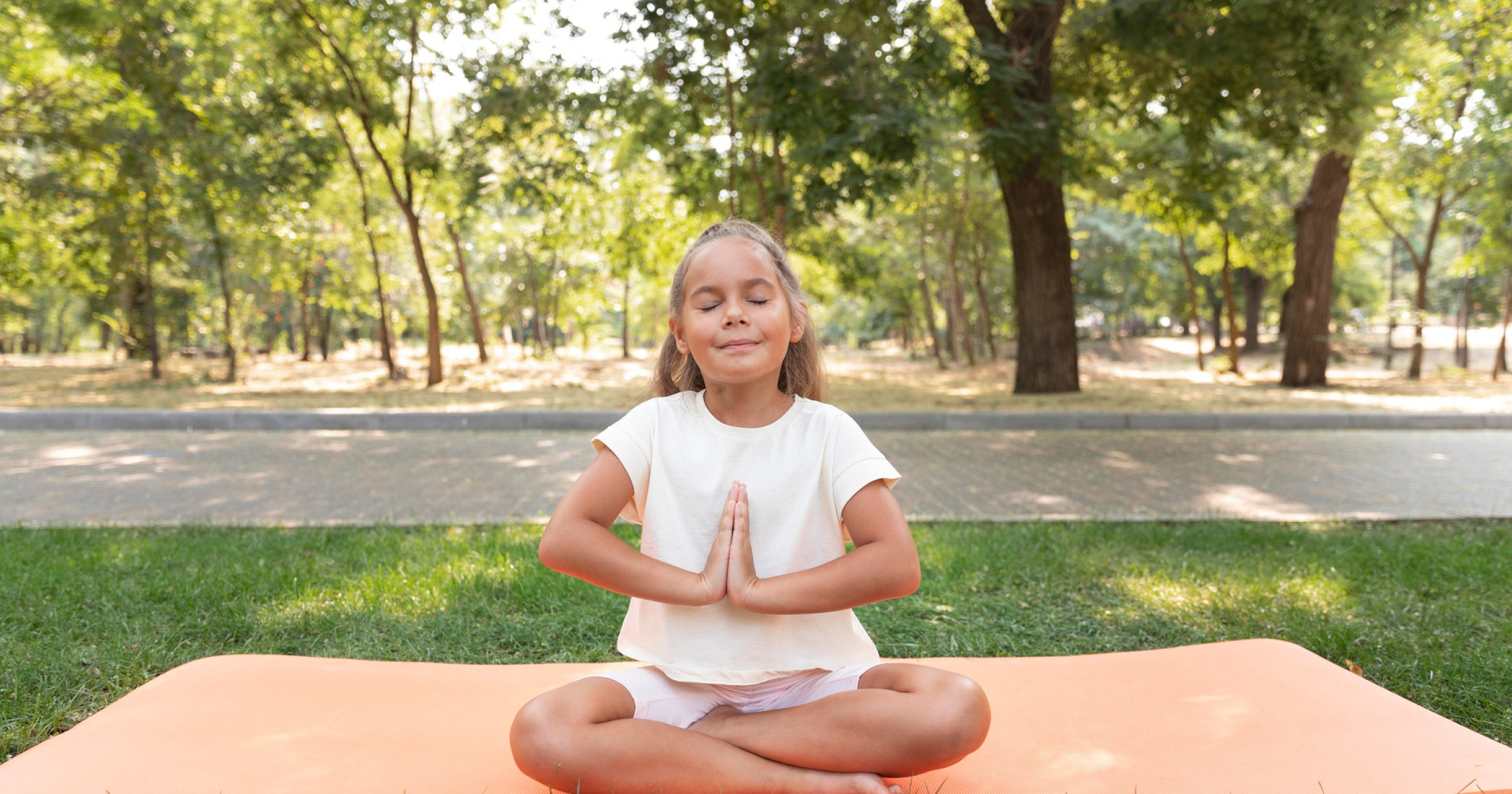 Avidii AG, Spissenstrasse in Kastanienbaum