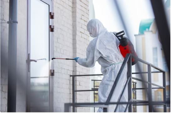 kammerjäger Becker, Am Wildgraben in Mainz