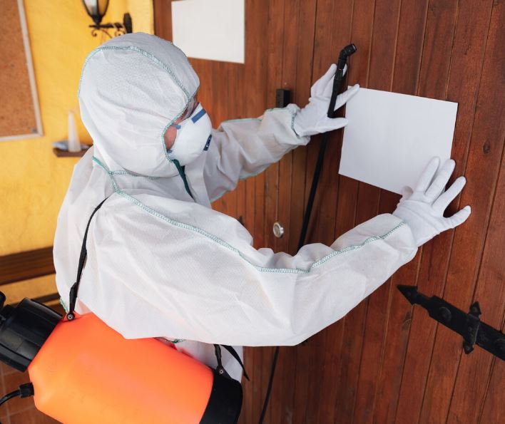 Kammerjäger Dieball, Frankfurter Str in Bad Vilbel