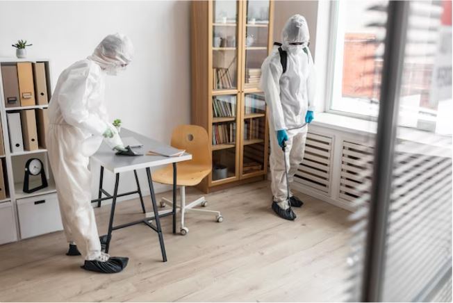 Kammerjäger Untermann, Kleine Stephanstraße in Hofheim am Taunus