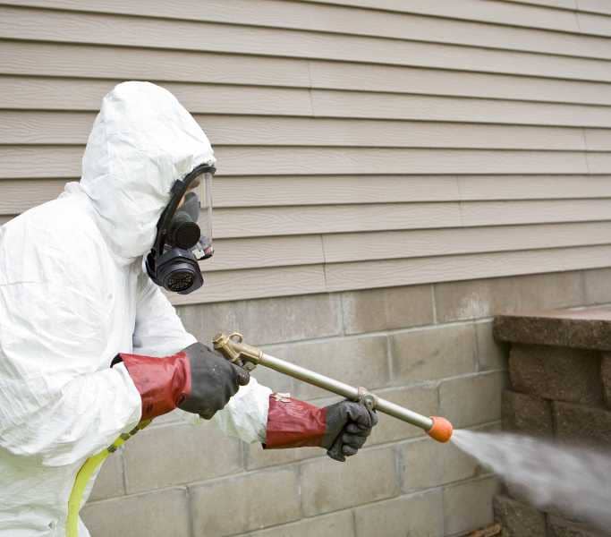 Kammerjäger Hoene, Farmstraße in Mörfelden-Walldorf