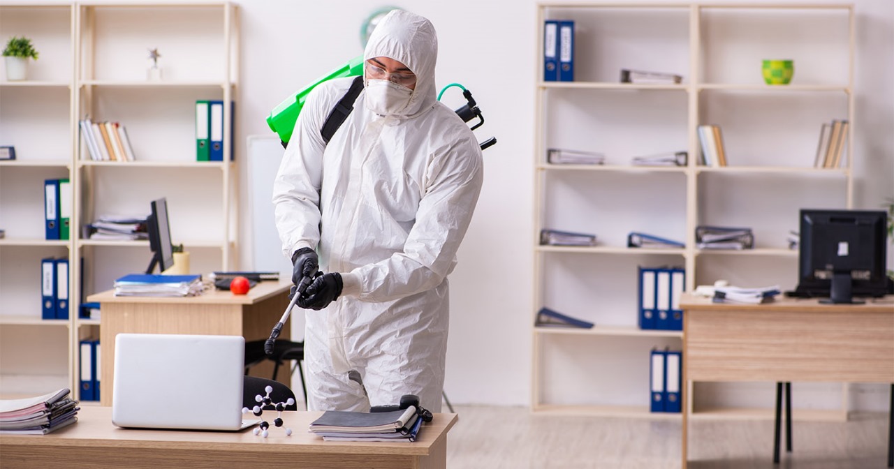 Kammerjäger Lambertz, Wilhelmstraße in Kelkheim (Taunus)