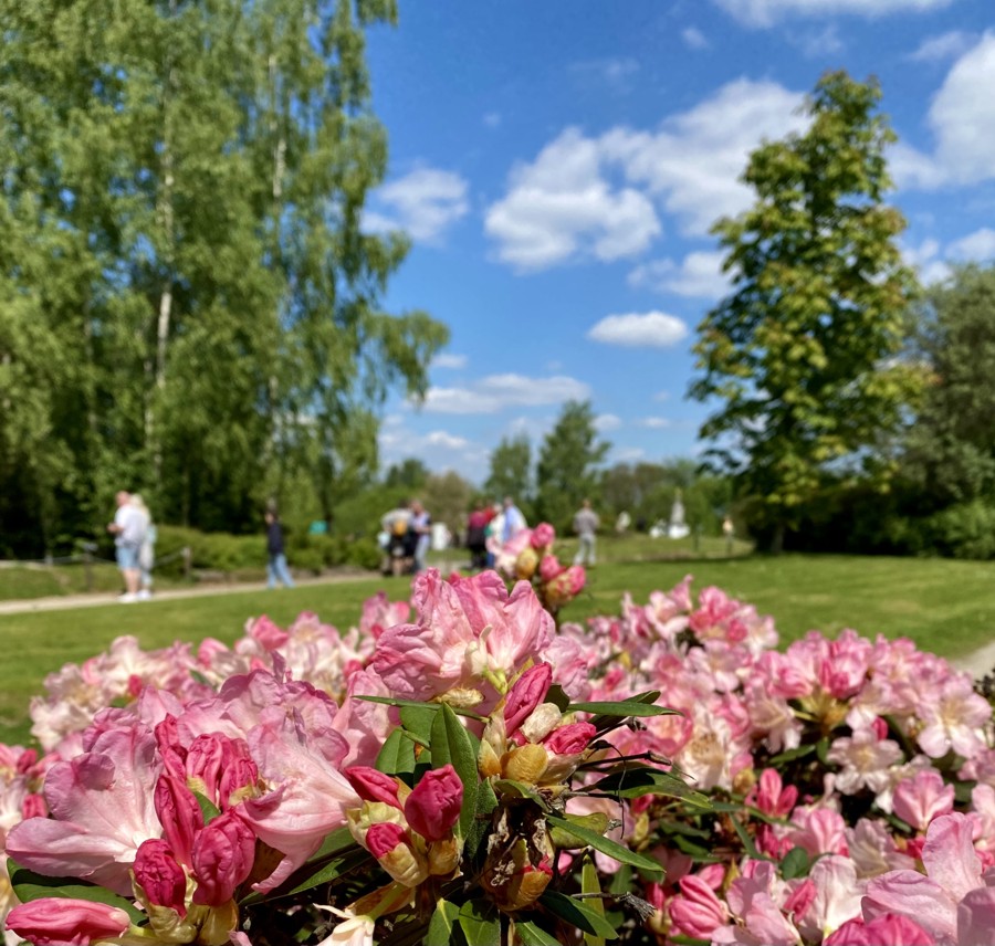 Miniwelt Sachsen GmbH, Chemnitzer Str in Lichtenstein