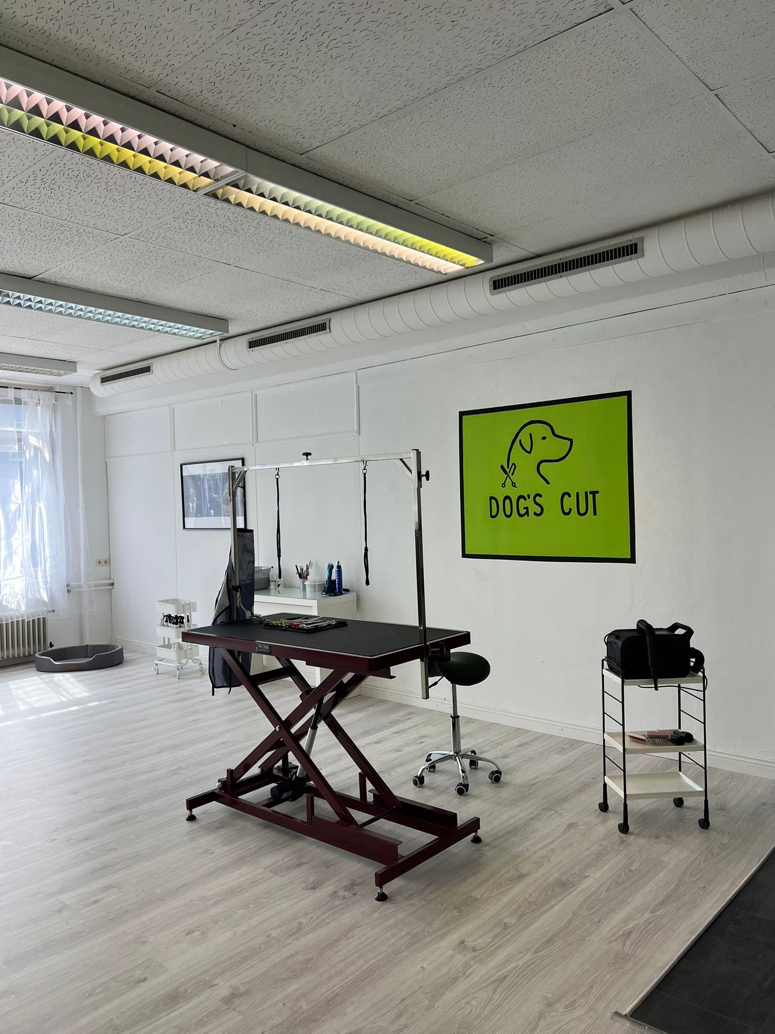 Dog´s Cut Hundesalon Reutlingen, Sankt-Peter-Straße in Reutlingen
