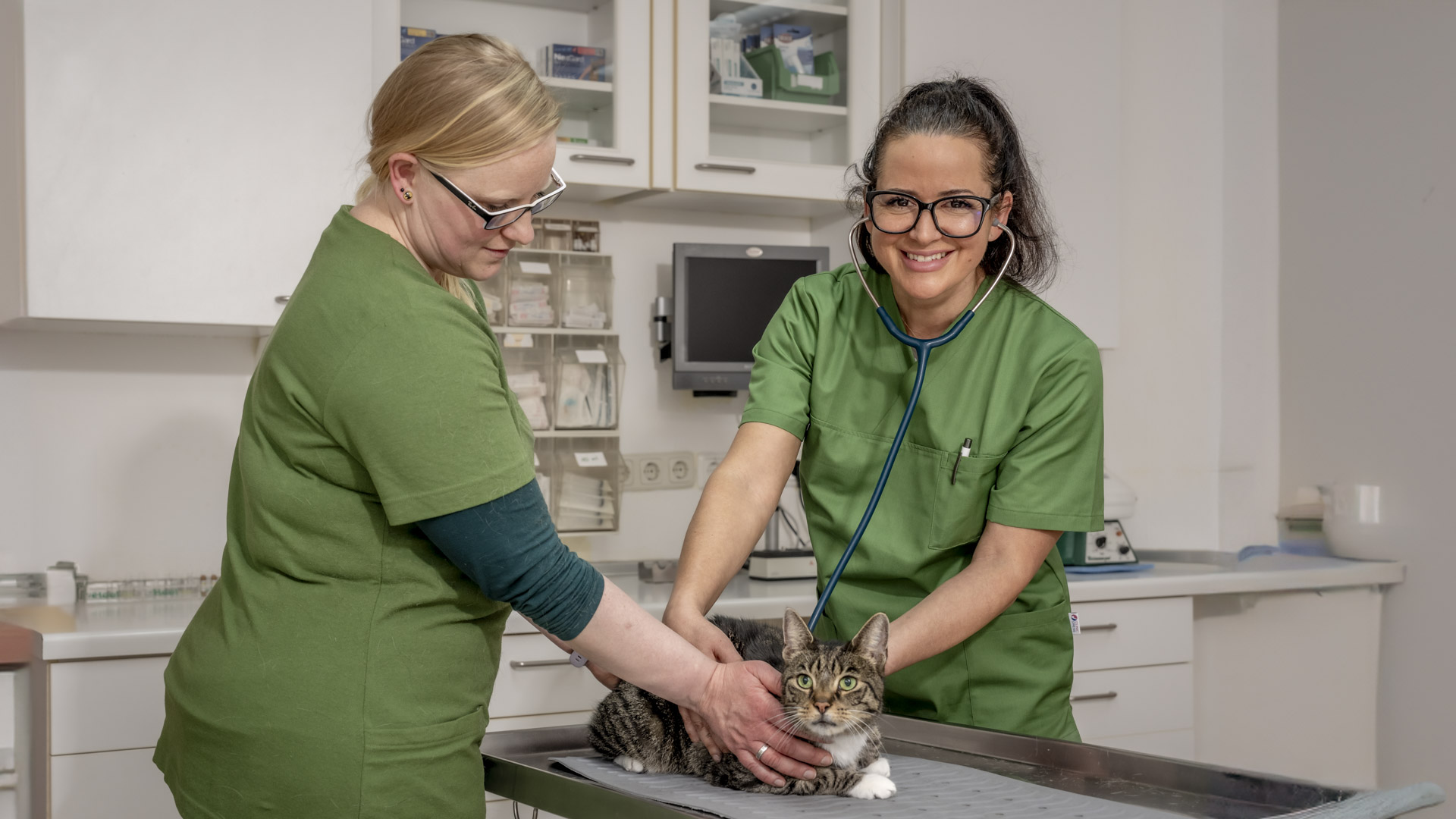 Tierarztpraxis Frankfurt | VETPETCARE | Dr. Cavalcanti, Am Burghof in Frankfurt