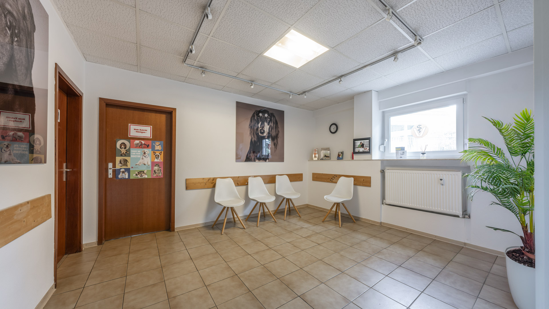 Tierarztpraxis Frankfurt | VETPETCARE | Dr. Cavalcanti, Am Burghof in Frankfurt