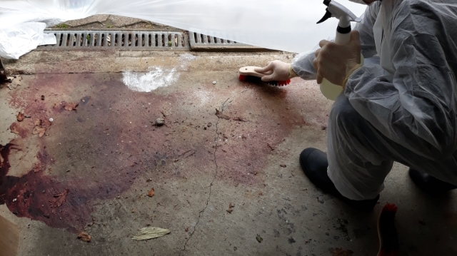 Tatortreinigung Kassel - Tatortreiniger Marco Drzisga, Sickingenstraße in Kassel