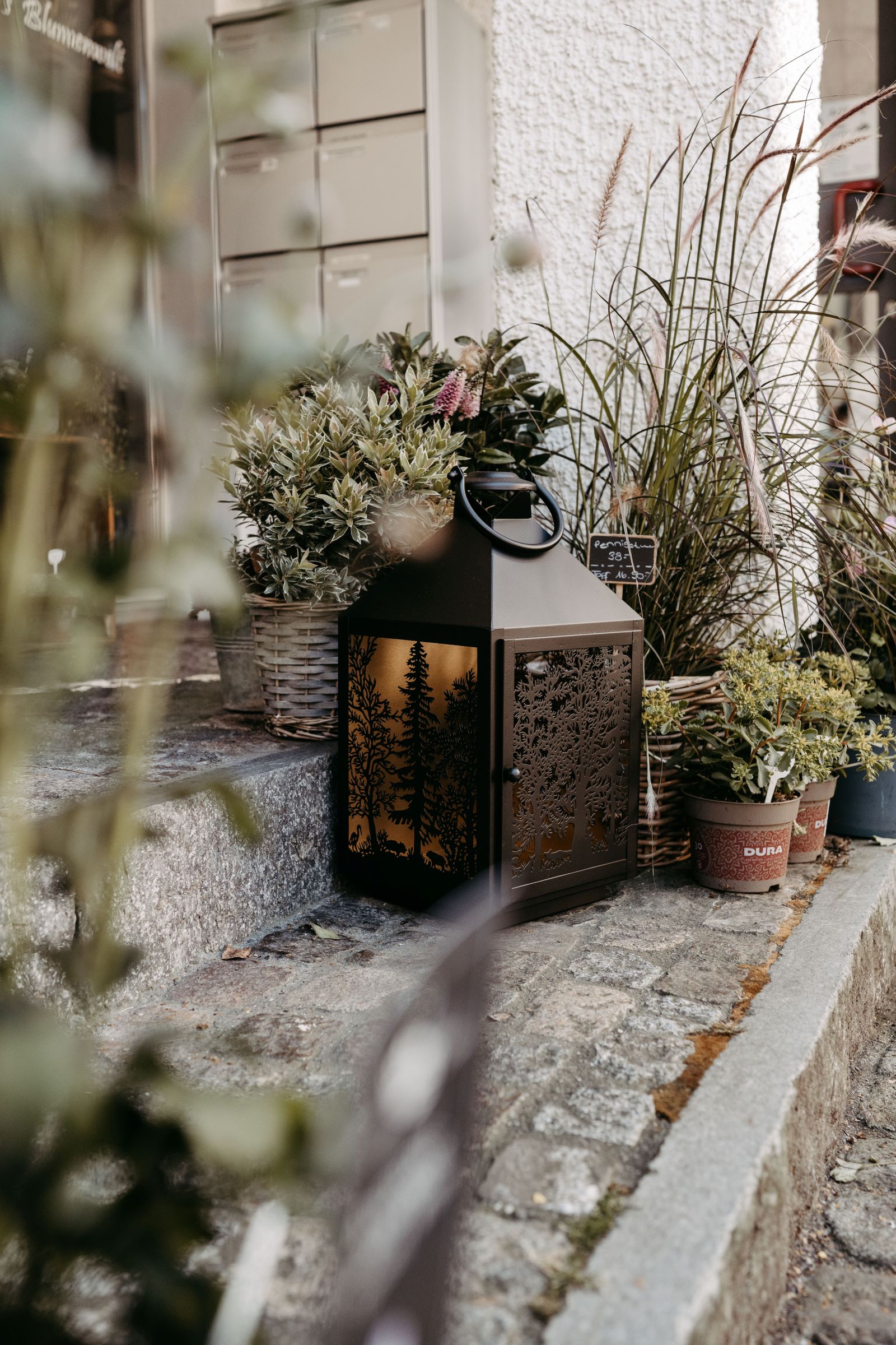 Martin's Blumenwelt, Klotenerstrasse in Bassersdorf