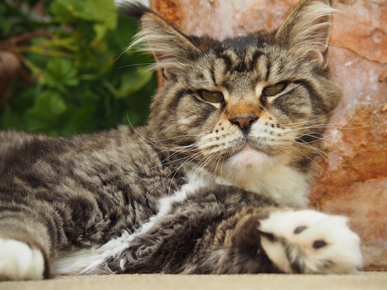 Kleintierzentrum Greven, Mergenthalerstraße in Greven