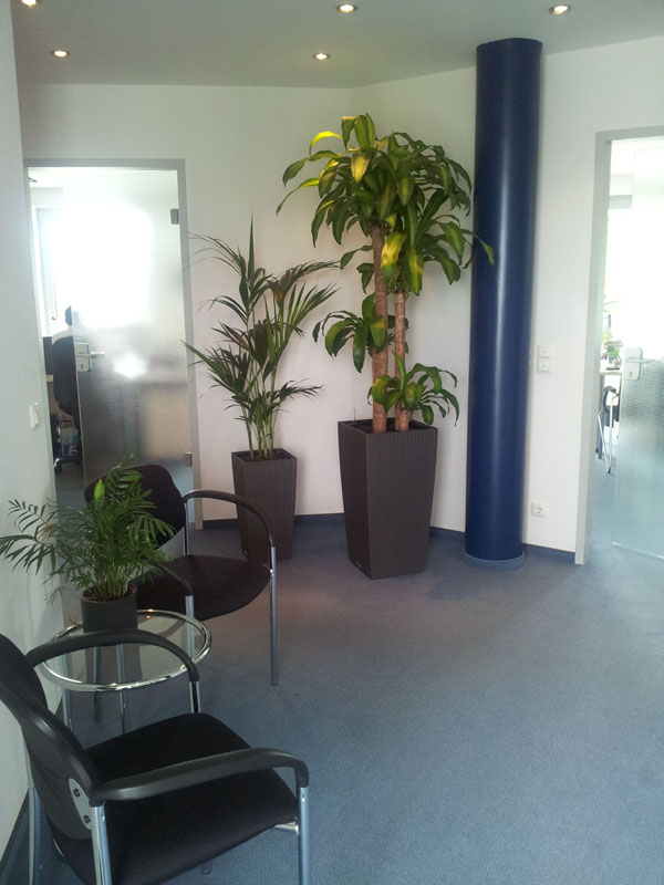 Andreas Walzebuk GmbH, Moses-Stern-Straße in Mönchengladbach