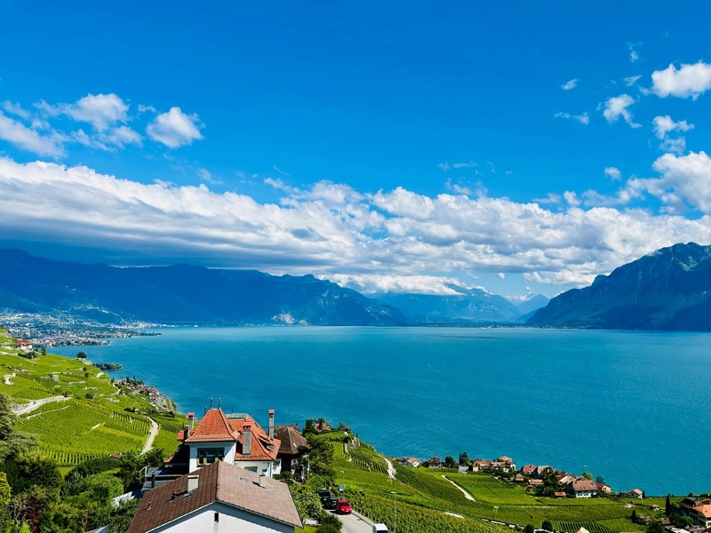 Nexstone, Pl. de l'Ancien-Port 2 in Vevey